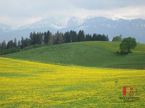 Unteregg Bauernhöfe, Landwirtschaft, Unteregg Forstwirtschaft