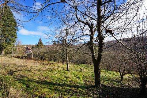 Mauerbach Grundstücke, Mauerbach Grundstück kaufen