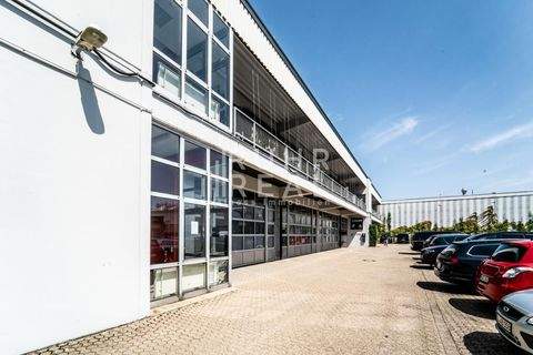 Köln Halle, Köln Hallenfläche