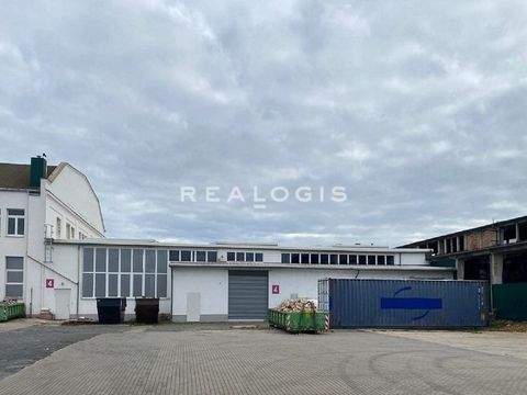 Halle (Saale) Halle, Halle (Saale) Hallenfläche