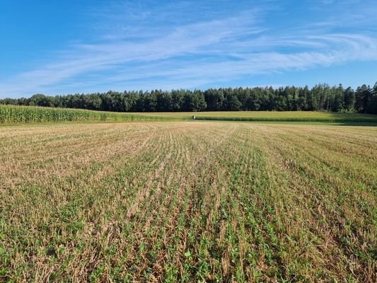 beide "längs-Acker" sowie der "quer-Acker