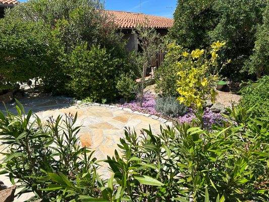 WhatsApp Bild 2025-10-05 um 19.52.33_0bfa159c.jpg