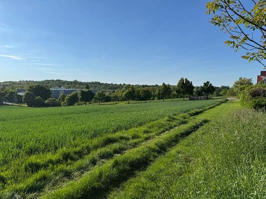 Aussicht vom Grundstück 