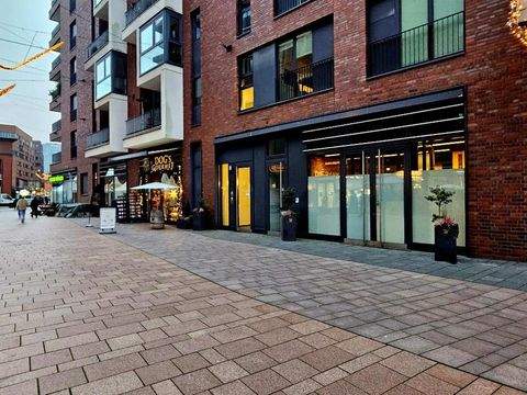 Hamburg Ladenlokale, Ladenflächen 