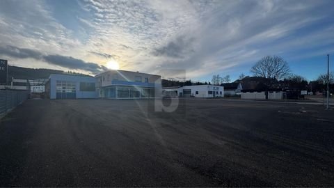 Bopfingen Halle, Bopfingen Hallenfläche