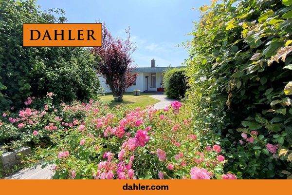 Außenansicht / Vorgarten