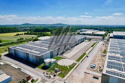 Gießen Halle, Gießen Hallenfläche