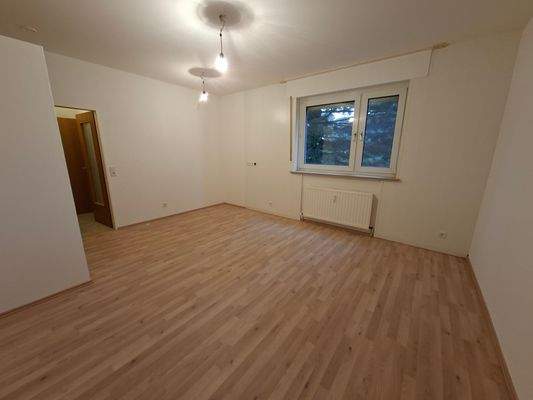 Apartment Wohn-Schlafraum.jpg