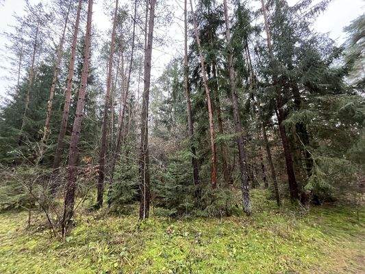 ein bischen Arbeit wartet bereits