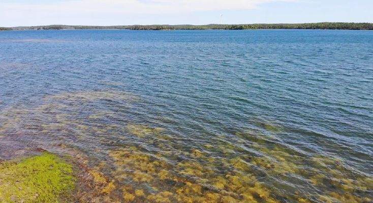 Cape Breton - Einzigartige Atlantik-Lage - 31 Hekt