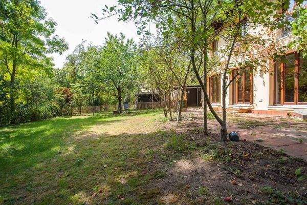 Grün, wohin das Auge reicht!