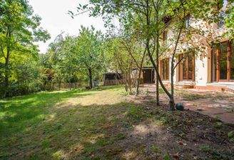 Grün, wohin das Auge reicht!