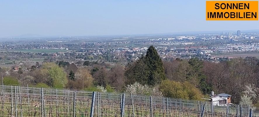 Fernblick auf Wien oberhalb der "Almhütte"