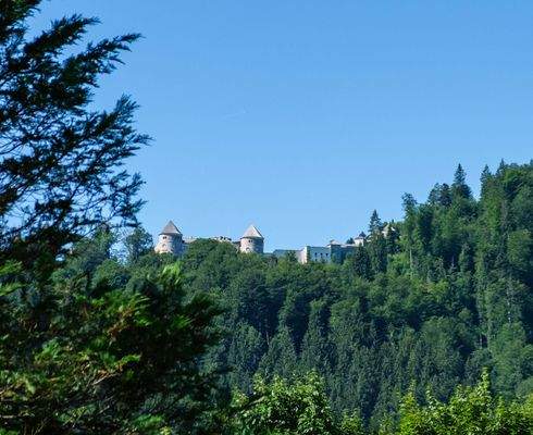 Blick aufs Ringbergschloss