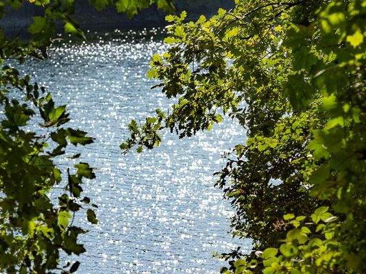 Kruppsee vor der Haustüre