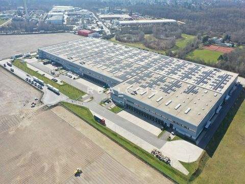 Köln Halle, Köln Hallenfläche