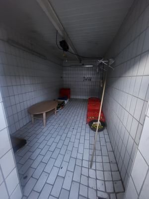 20230925_173555.jpg