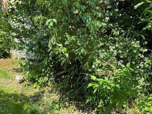 Grundstück Barterode