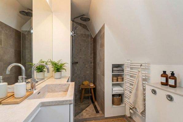 Duschbad 2 (Visualisierung)