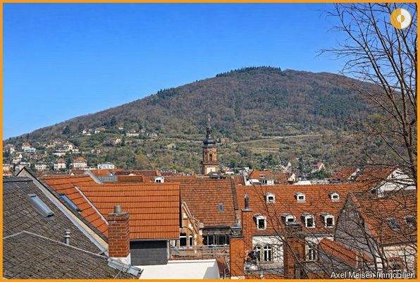 Blick Philosophenweg 