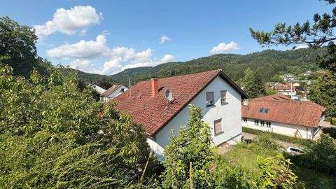 Hasel Häuser, Hasel Haus kaufen