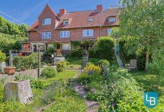 Liebevoll angelegter Garten