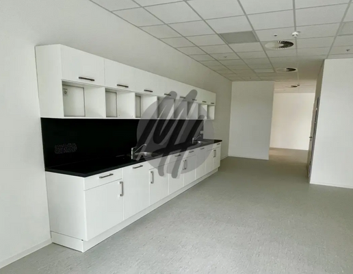 INFOS UNTER: 06171-586000