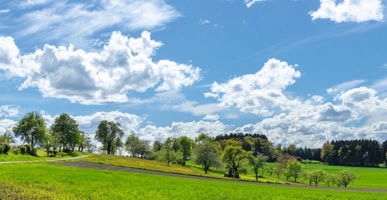 09_Blitzenreute_Kulturlandschaft