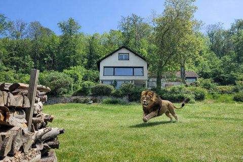 Seeheim-Jugenheim Häuser, Seeheim-Jugenheim Haus kaufen