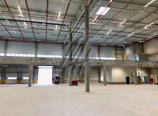 INFOS UNTER: 06171-586000