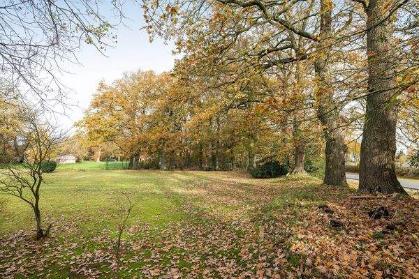 58_Blickdiek 5 - Ringe-59.jpg