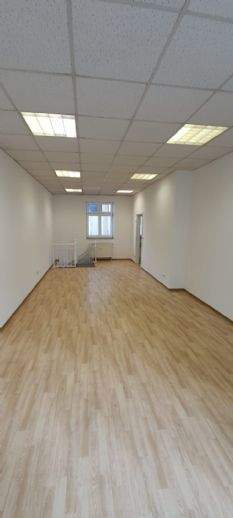 Steinach Ladenlokale, Ladenflächen 