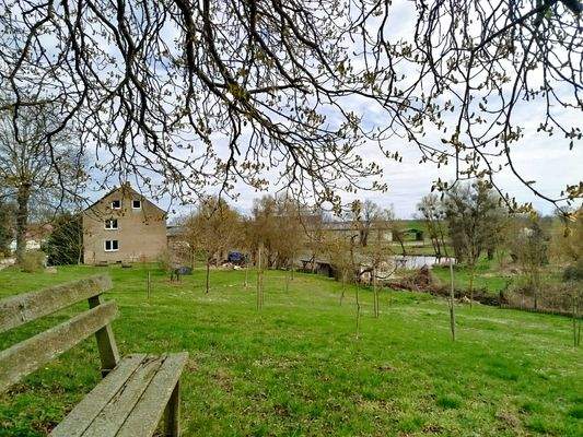 Bild 06