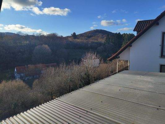 Blick zum Schloßberg