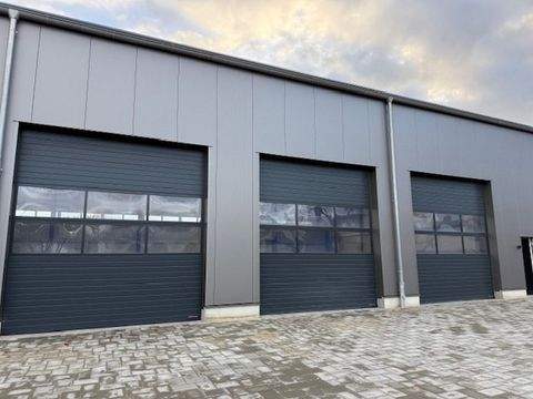 Bad Segeberg Halle, Bad Segeberg Hallenfläche