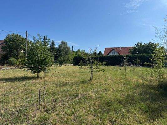 WhatsApp-kép, 2025-07-27, 20.08.03_672256c0.jpg