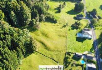Drohnenfoto Baugrund Wiese - Wald