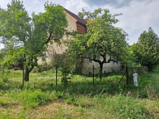 schöner, alter Baumbestand mit Blick auf das Haus