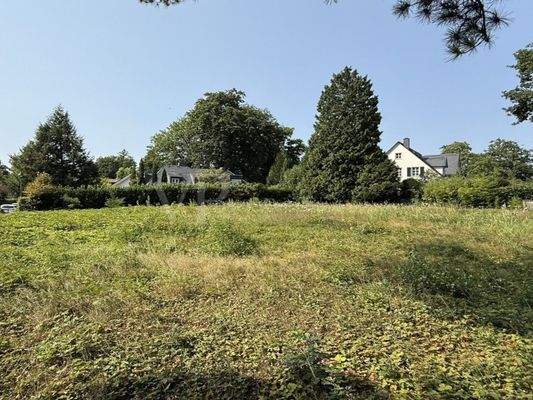 Blick über das Grundstück