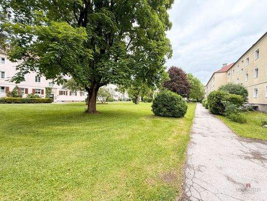 unbenannt (16 von 16)