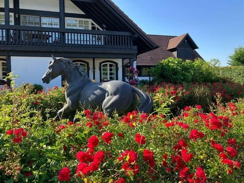 Binau Häuser, Binau Haus kaufen