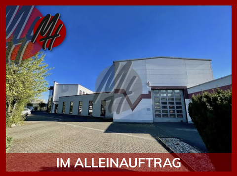 Frankfurt am Main Halle, Frankfurt am Main Hallenfläche