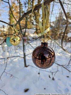 Umgebungs Impressionen