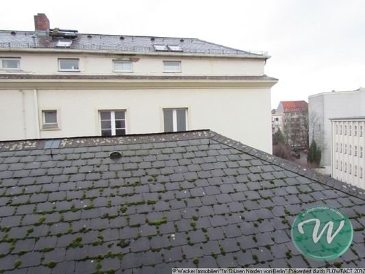 Fensterblick