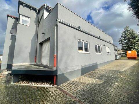 Zirndorf Halle, Zirndorf Hallenfläche