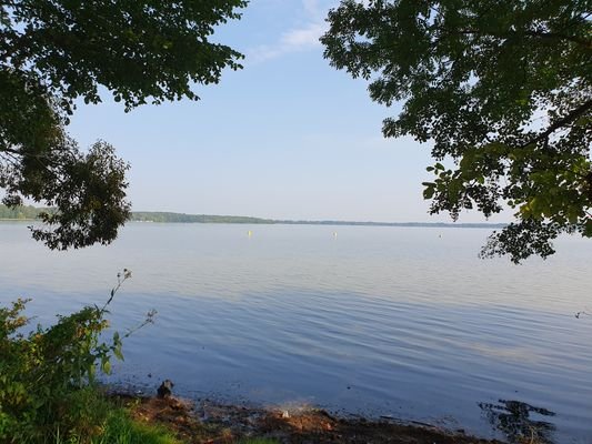 Nahe dem Wolziger See