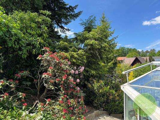 Liebevolle Bepflanzung ... 