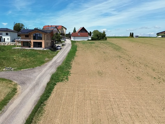 Igelschwang