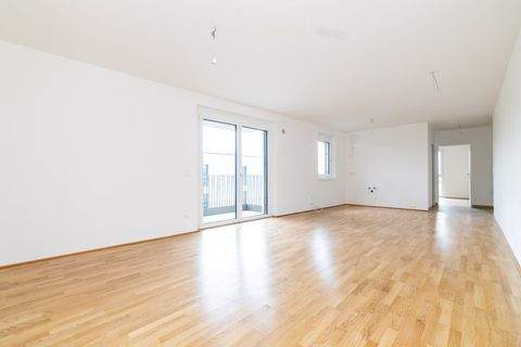 Wiener Neustadt Wohnungen, Wiener Neustadt Wohnung kaufen