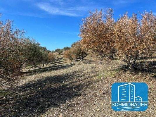 Kreta, Sivas: Grundstück am Ortsrand mit 360-Grad-Aussicht zu verkaufen